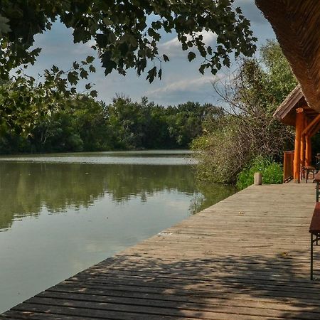 Antal-Tavi Fogado Es Horgaszparadicsom Сентеш Экстерьер фото